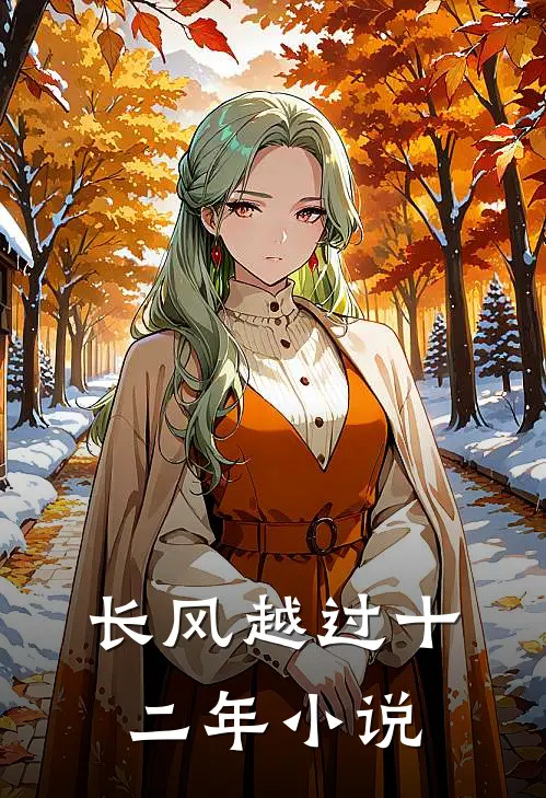 长风越过十二年小说