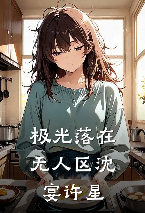 极光落在无人区沈宴许星